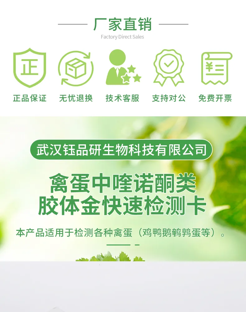 喹诺酮类详情-绿-_01.jpg